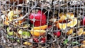 Malbaratament d'alliments