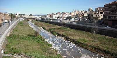 riera avui